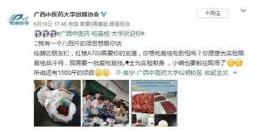 娱乐吃瓜酱医学生,揭秘娱乐圈背后的健康秘密